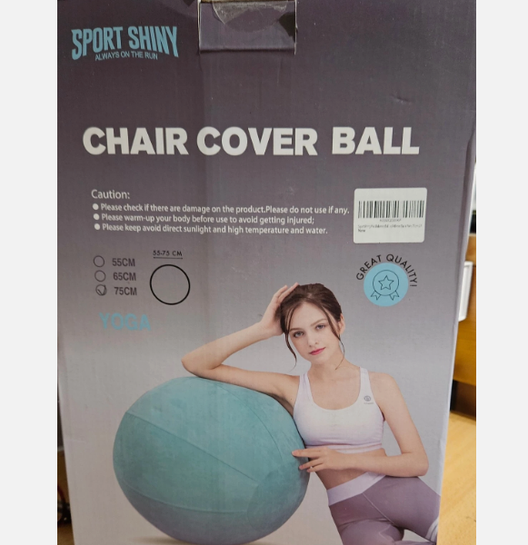 Sport Shiny Balance Ball Chair & Cover Exercise Ball 75cm Lavender