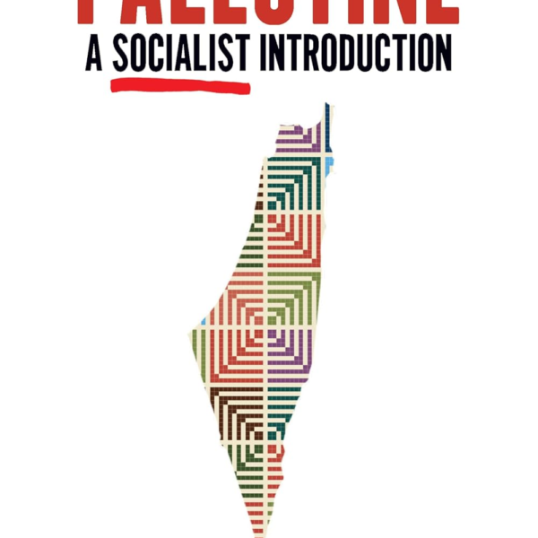 Palestine: A Socialist Introduction: A Socialist Introduction Paperback