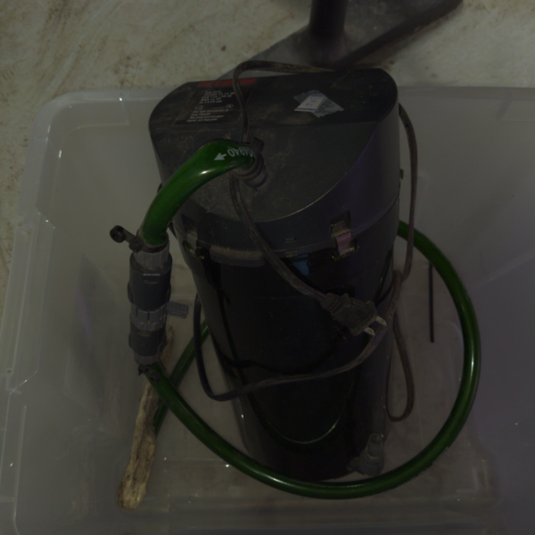 eheim type 2215 black