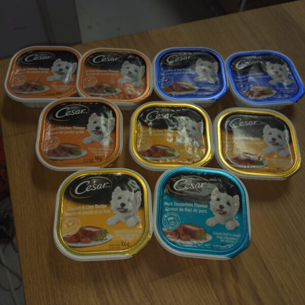 Auction: 9 Trays Cesar Wet Dog Food (Brand New & Sealed)