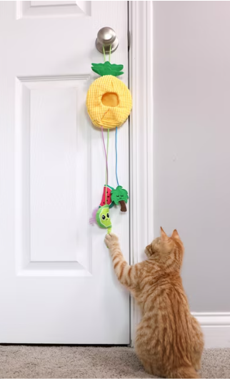 Quirky Kitty Interactive Tropical Dangler Cat Toy